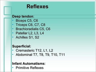 Reflexes
Deep tendon:
• Biceps C5, C6
• Triceps C6, C7, C8
• Brachioradialis C5, C6
• Patellar L2, L3, L4
• Achilles S1, S2

Superficial:
• Cremasteric T12, L1, L2
• Abdominal T7, T8, T9, T10, T11

Infant Automatisms:
• Primitive Reflexes
 