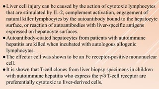 ●Liver cell injury can be caused by the action of cytotoxic lymphocytes
that are stimulated by IL-2, complement activation, engagement of
natural killer lymphocytes by the autoantibody bound to the hepatocyte
surface, or reaction of autoantibodies with liver-specific antigens
expressed on hepatocyte surfaces.
●Autoantibody-coated hepatocytes from patients with autoimmune
hepatitis are killed when incubated with autologous allogenic
lymphocytes.
●The effector cell was shown to be an Fc receptor-positive mononuclear
cell.
●It is shown that T-cell clones from liver biopsy specimens in children
with autoimmune hepatitis who express the γ/δ T-cell receptor are
preferentially cytotoxic to liver-derived cells.
 