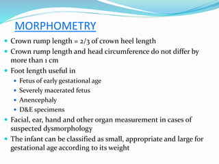 MORPHOMETRY
 Crown rump length = 2/3 of crown heel length
 Crown rump length and head circumference do not differ by
more than 1 cm
 Foot length useful in
 Fetus of early gestational age
 Severely macerated fetus
 Anencephaly
 D&E specimens
 Facial, ear, hand and other organ measurement in cases of
suspected dysmorphology
 The infant can be classified as small, appropriate and large for
gestational age according to its weight
 