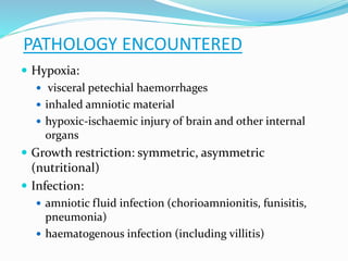 PATHOLOGY ENCOUNTERED
 Hypoxia:
 visceral petechial haemorrhages
 inhaled amniotic material
 hypoxic-ischaemic injury of brain and other internal
organs
 Growth restriction: symmetric, asymmetric
(nutritional)
 Infection:
 amniotic fluid infection (chorioamnionitis, funisitis,
pneumonia)
 haematogenous infection (including villitis)
 