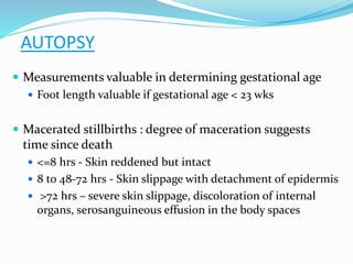 AUTOPSY
 Measurements valuable in determining gestational age
 Foot length valuable if gestational age < 23 wks
 Macerated stillbirths : degree of maceration suggests
time since death
 <=8 hrs - Skin reddened but intact
 8 to 48-72 hrs - Skin slippage with detachment of epidermis
 >72 hrs – severe skin slippage, discoloration of internal
organs, serosanguineous effusion in the body spaces
 