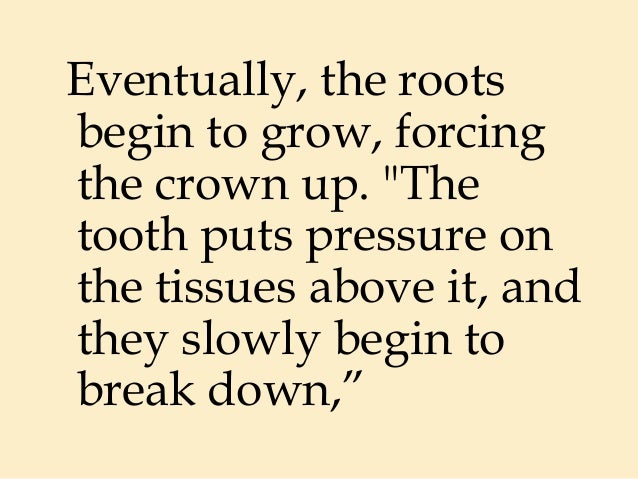 Pediatric Dentist Rockford, IL | First Cutting Teeth
