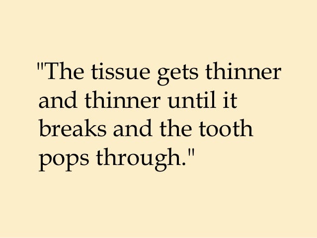Pediatric Dentist Rockford, IL | First Cutting Teeth