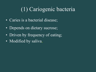 (1) Cariogenic bacteria
• Caries is a bacterial disease;
• Depends on dietary sucrose;
• Driven by frequency of eating;
• Modified by saliva.
 
