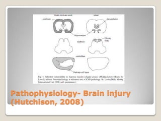 Pathophysiology- Brain injury
(Hutchison, 2008)
 