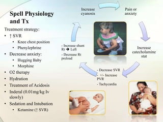 Spell Physiology
and Tx
Pain or
anxiety
Increase
catecholamine
stat
- Decrease SVR
- +/- Increase
PVR
- Tachycardia
- Increase shunt
Rt  Left
- Decrease Rt
preload
Increase
cyanosis
Treatment strategy:
• ↑ SVR
• Knee chest position
• Phenylephrine
• Decrease anxiety:
• Hugging Baby
• Morphine
• O2 therapy
• Hydration
• Treatment of Acidosis
• Inderal (0.01mg/kg Iv
slowly)
• Sedation and Intubation
• Ketamine (↑ SVR)
 