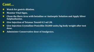Cont…
Watch for gastric dilation.
Monitor Vital Signs.
Clean the Burn Area with betadine or Antiseptic Solution and Apply Silver
Sulphadiazine.
Give Injection of Tetanus Toxoid 0.5 ml I.M.
Give Injection Crystalline Penicillin 50,000 units/kg body weight after test
dose.
Administer Conservative dose of Analgesics.
 