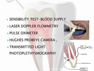 Pediatric endodontics | PDF