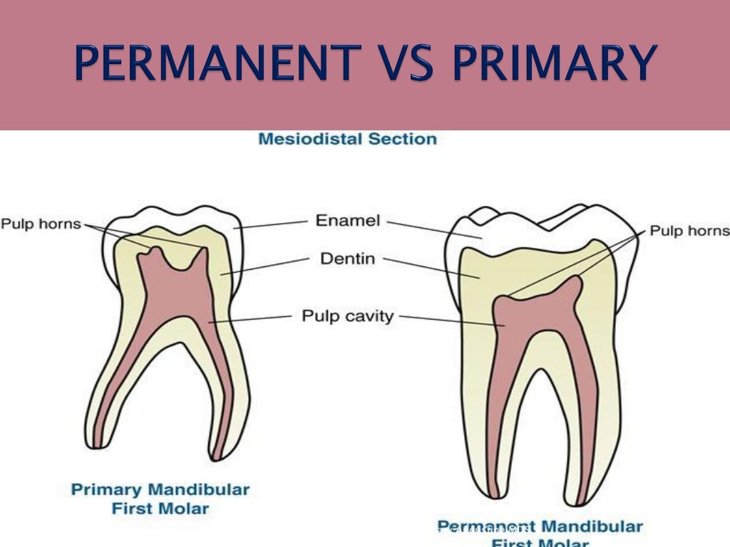 Pediatric endodontics