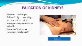 PALPATION OF KIDNEYS
Bimanual technique
Palpated by standing
on respective side
lower pole may normally be
palpable
Asses anyTenderness
(Murphy’s renal punch)
Left kidney
 
