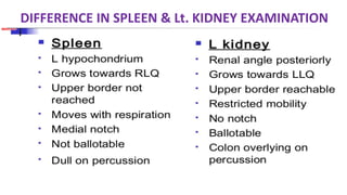 DIFFERENCE IN SPLEEN & Lt. KIDNEY EXAMINATION
 