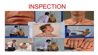INSPECTION
 