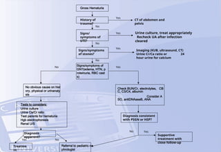 Gross Hematuria
History of
trauma?
Signs/
symptoms of
UTI?
Signs/symptoms
of stones?
Signs/symptoms of
GN?(edema, HTN, p
roteinuria, RBC cast
s)
No Yes
No
No
No
CT of abdomen and
pelvis
Urine culture, treat appropriately
Recheck UA after infection
cleared
Imaging (KUB, ultrasound, CT)
Urine Cr/Ca ratio or 24
hour urine for calcium
Yes
Yes
Yes
No obvious cause on hist
ory, physical or urinanaly
sis
Check BUN/Cr, electrolytes, CB
C, C3/C4, albumin
Consider A
SO, antiDNAaseB, ANA
Tests to considers:
Urine culture
Urine Ca/Cr ratio
Test parents for hematuria
Hgb electrophoresis
Renal U/S
Diagnosis
apparent?
Treatme
nt
Referral to pediatric ne
phrologist
Diagnosis consistent
with PSGN or HSP?
Supportive
treatment with
close follow-up
Yes No
No Yes
 