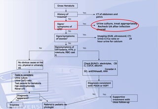 Gross Hematuria
History of
trauma?
Signs/
symptoms of
UTI?
Signs/symptoms
of stones?
Signs/symptoms of
GN?(edema, HTN, p
roteinuria, RBC cast
s)
No Yes
No
No
No
CT of abdomen and
pelvis
Urine culture, treat appropriately
Recheck UA after infection
cleared
Imaging (KUB, ultrasound, CT)
Urine Cr/Ca ratio or 24
hour urine for calcium
Yes
Yes
Yes
No obvious cause on hist
ory, physical or urinanaly
sis
Check BUN/Cr, electrolytes, CB
C, C3/C4, albumin
Consider A
SO, antiDNAaseB, ANA
Tests to considers:
Urine culture
Urine Ca/Cr ratio
Test parents for hematuria
Hgb electrophoresis
Renal U/S
Diagnosis
apparent?
Treatme
nt
Referral to pediatric ne
phrologist
Diagnosis consistent
with PSGN or HSP?
Supportive
treatment with
close follow-up
Yes No
No Yes
 