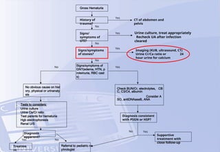 Gross Hematuria
History of
trauma?
Signs/
symptoms of
UTI?
Signs/symptoms
of stones?
Signs/symptoms of
GN?(edema, HTN, p
roteinuria, RBC cast
s)
No Yes
No
No
No
CT of abdomen and
pelvis
Urine culture, treat appropriately
Recheck UA after infection
cleared
Imaging (KUB, ultrasound, CT)
Urine Cr/Ca ratio or 24
hour urine for calcium
Yes
Yes
Yes
No obvious cause on hist
ory, physical or urinanaly
sis
Check BUN/Cr, electrolytes, CB
C, C3/C4, albumin
Consider A
SO, antiDNAaseB, ANA
Tests to considers:
Urine culture
Urine Ca/Cr ratio
Test parents for hematuria
Hgb electrophoresis
Renal U/S
Diagnosis
apparent?
Treatme
nt
Referral to pediatric ne
phrologist
Diagnosis consistent
with PSGN or HSP?
Supportive
treatment with
close follow-up
Yes No
No Yes
 