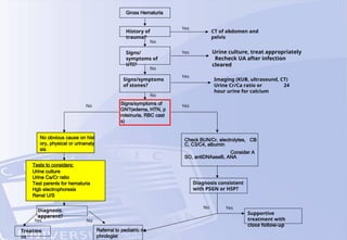 Gross Hematuria
History of
trauma?
Signs/
symptoms of
UTI?
Signs/symptoms
of stones?
Signs/symptoms of
GN?(edema, HTN, p
roteinuria, RBC cast
s)
No Yes
No
No
No
CT of abdomen and
pelvis
Urine culture, treat appropriately
Recheck UA after infection
cleared
Imaging (KUB, ultrasound, CT)
Urine Cr/Ca ratio or 24
hour urine for calcium
Yes
Yes
Yes
No obvious cause on hist
ory, physical or urinanaly
sis
Check BUN/Cr, electrolytes, CB
C, C3/C4, albumin
Consider A
SO, antiDNAaseB, ANA
Tests to considers:
Urine culture
Urine Ca/Cr ratio
Test parents for hematuria
Hgb electrophoresis
Renal U/S
Diagnosis
apparent?
Treatme
nt
Referral to pediatric ne
phrologist
Diagnosis consistent
with PSGN or HSP?
Supportive
treatment with
close follow-up
Yes No
No Yes
 