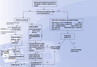 Microscopic hematuria with abnorm
al findings on history, physical or uri
nalysis
Presence of proteinuria, ede
ma or hypertension?
Patient acutely ill?
Recheck UA
in one week
F/U prn
UA(-)
No (proteinuria without e
dema or HTN) Yes
Labs to check:
Bun/Cr Electrolytes
CBC/ C3,C4
Albumin
Labs to consider: A
SO/antiDNAase B A
NA
Refer to pedi
atric nephrolo
gist
Labs to check:
BUN/Cr, CBC
C3, C4
Albumin
Labs
normal?
Hematuria & proteinuria
persistent?
Hematuria & proteinuria p
ersistent
Yes
No
Yes
No
Follow up prn
Elevated BUN/Cr? Neph
rotic syndrome? Moder
ate to severe hypertensi
on? Diagnosis un
certain?
Close follow-up
with supportive
therapy as needed
No
No
Development of
complication or
lack of
Refer to pediatr
ic nephrologist
Treat accordingly,
follow-up prn
Diagnosis
apparent?
Yes No
Yes
Yes
No Yes
Tailor W/U according to associated findings:
R/O trauma →CT if > 50 RBC/hpf S/Sx o
f UTI → Urine culture, recheck UA S/Sx of sto
nes → Imaging studies Urine Ca/Cr or 24
hour urine Ca. Abdominal mass → renal ultr
asound or CT
 
