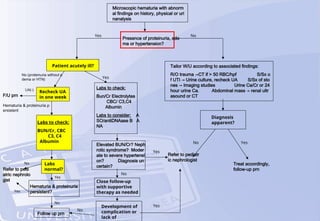 Microscopic hematuria with abnorm
al findings on history, physical or uri
nanalysis
Presence of proteinuria, ede
ma or hypertension?
Patient acutely ill?
Recheck UA
in one week
F/U prn
UA(-)
No (proteinuria without e
dema or HTN) Yes
Labs to check:
Bun/Cr Electrolytes
CBC/ C3,C4
Albumin
Labs to consider: A
SO/antiDNAase B A
NA
Refer to pedi
atric nephrolo
gist
Labs to check:
BUN/Cr, CBC
C3, C4
Albumin
Labs
normal?
Hematuria & proteinuria
persistent?
Hematuria & proteinuria p
ersistent
Yes
No
Yes
No
Follow up prn
Elevated BUN/Cr? Neph
rotic syndrome? Moder
ate to severe hypertensi
on? Diagnosis un
certain?
Close follow-up
with supportive
therapy as needed
No
No
Development of
complication or
lack of
Refer to pediatr
ic nephrologist
Treat accordingly,
follow-up prn
Diagnosis
apparent?
Yes No
Yes
Yes
No Yes
Tailor W/U according to associated findings:
R/O trauma →CT if > 50 RBC/hpf S/Sx o
f UTI → Urine culture, recheck UA S/Sx of sto
nes → Imaging studies Urine Ca/Cr or 24
hour urine Ca. Abdominal mass → renal ultr
asound or CT
 