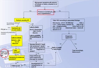 Microscopic hematuria with abnorm
al findings on history, physical or uri
nanalysis
Presence of proteinuria, ede
ma or hypertension?
Patient acutely ill?
Recheck UA
in one week
F/U prn
UA(-)
No (proteinuria without e
dema or HTN) Yes
Labs to check:
Bun/Cr Electrolytes
CBC/ C3,C4
Albumin
Labs to consider: A
SO/antiDNAase B A
NA
Refer to pedi
atric nephrolo
gist
Labs to check:
BUN/Cr, CBC
C3, C4
Albumin
Labs
normal?
Hematuria & proteinuria
persistent?
Hematuria & proteinuria p
ersistent
Yes
No
Yes
No
Follow up prn
Elevated BUN/Cr? Neph
rotic syndrome? Moder
ate to severe hypertensi
on? Diagnosis un
certain?
Close follow-up
with supportive
therapy as needed
No
No
Development of
complication or
lack of
Refer to pediatr
ic nephrologist
Treat accordingly,
follow-up prn
Diagnosis
apparent?
Yes No
Yes
Yes
No Yes
Tailor W/U according to associated findings:
R/O trauma →CT if > 50 RBC/hpf S/Sx o
f UTI → Urine culture, recheck UA S/Sx of sto
nes → Imaging studies Urine Ca/Cr or 24
hour urine Ca. Abdominal mass → renal ultr
asound or CT
 