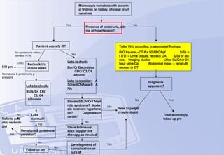 Microscopic hematuria with abnorm
al findings on history, physical or uri
nanalysis
Presence of proteinuria, ede
ma or hypertension?
Patient acutely ill?
Recheck UA
in one week
F/U prn
UA(-)
No (proteinuria without e
dema or HTN) Yes
Labs to check:
Bun/Cr Electrolytes
CBC/ C3,C4
Albumin
Labs to consider: A
SO/antiDNAase B A
NA
Refer to pedi
atric nephrolo
gist
Labs to check:
BUN/Cr, CBC
C3, C4
Albumin
Labs
normal?
Hematuria & proteinuria
persistent?
Hematuria & proteinuria p
ersistent
Yes
No
Yes
No
Follow up prn
Elevated BUN/Cr? Neph
rotic syndrome? Moder
ate to severe hypertensi
on? Diagnosis un
certain?
Close follow-up
with supportive
therapy as needed
No
No
Development of
complication or
lack of
Refer to pediatr
ic nephrologist
Treat accordingly,
follow-up prn
Diagnosis
apparent?
Yes No
Yes
Yes
No Yes
Tailor W/U according to associated findings:
R/O trauma →CT if > 50 RBC/hpf S/Sx o
f UTI → Urine culture, recheck UA S/Sx of sto
nes → Imaging studies Urine Ca/Cr or 24
hour urine Ca. Abdominal mass → renal ultr
asound or CT
 
