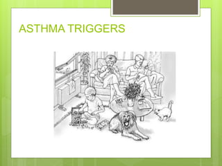 ASTHMA TRIGGERS
 