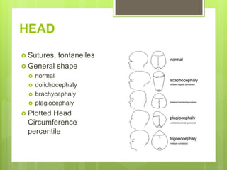 HEAD
 Sutures, fontanelles
 General shape
 normal
 dolichocephaly
 brachycephaly
 plagiocephaly
 Plotted Head
Circumference
percentile
 