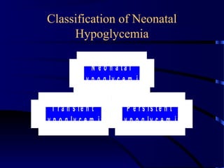 Classification of Neonatal
Hypoglycemia
T r a n s ie n t
H y p o g ly c e m ia
P e r s is t e n t
H y p o g ly c e m ia
N e o n a t a l
H y p o g ly c e m ia
 