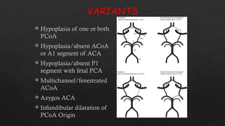 Pediatric imaging techniques and normal variants. | PPTX