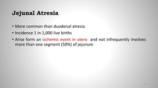 Jejunal Atresia
• More common than duodenal atresia
• Incidence 1 in 1,000 live births
• Arise form an ischemic event in utero and not infrequently involves
more than one segment (50%) of jejunum
57
 