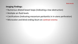 Imaging Findings:
• Numerous dilated bowel loops (indicating a low obstruction)
• Multiple air-fluid levels
• Calcifications (indicating meconium peritonitis in in-utero perforation)
• Microcolon and blind ending ileum on contrast enema
61
Ileal atresia
 