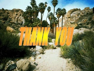 Pediatric laparoscopy