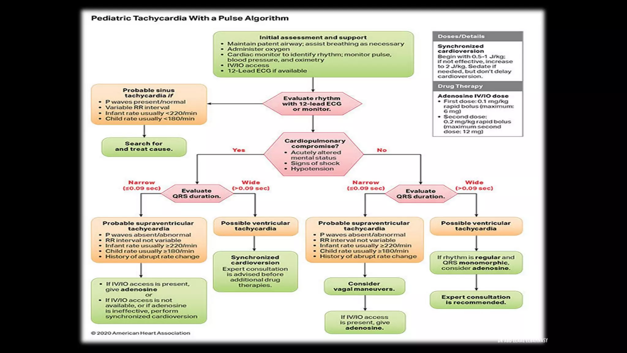 DR ABD ELAAL ELBAHNASY
 