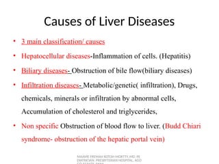 Comprehensive Overview of Liver Diseases: Causes, Symptoms, Diagnosis ...