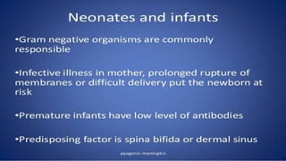 pediatric meningitis.pptx