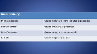 pediatric meningitis.pptx