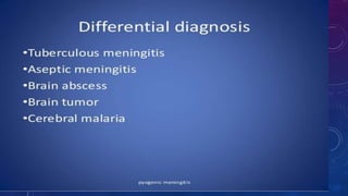 pediatric meningitis.pptx