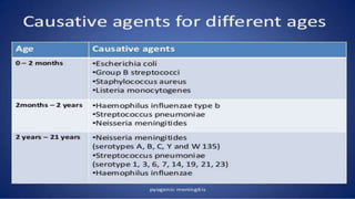 pediatric meningitis.pptx