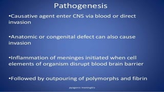 pediatric meningitis.pptx