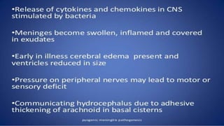 pediatric meningitis.pptx