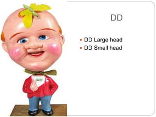 DD
 DD Large head
 DD Small head
 