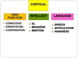 HIGH
FUNCTION
CORTICAL
 CONSCIOUS
 ORIENTATION
 COOPERATION
lNTELLECT LANGUAGE
IQ
BEHAVIOR
EMOTION
SPEECH
ARTICULATION
HANDNESS
 