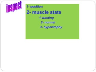 1- position
2- muscle state
1-wasting
2- normal
3- hypertrophy
 
