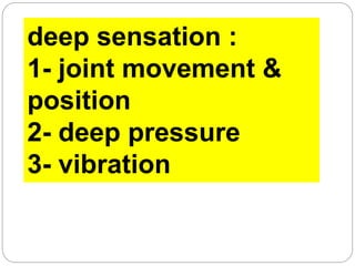 deep sensation :
1- joint movement &
position
2- deep pressure
3- vibration
 