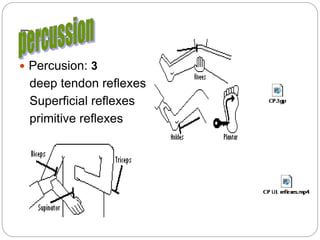 Reflexes
 Percusion: 3
deep tendon reflexes
Superficial reflexes
primitive reflexes
 