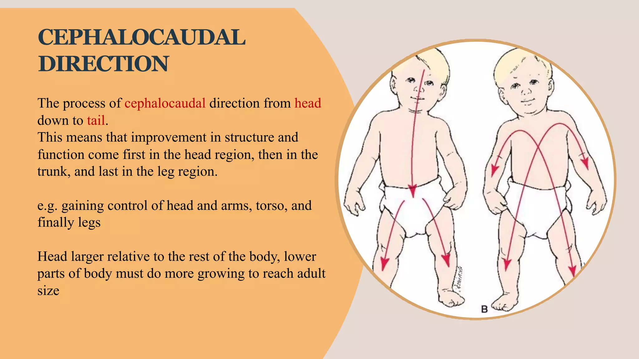 Pediatric Nursing 1.pdf