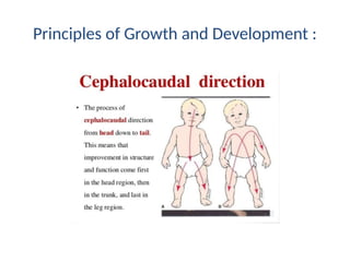 Normal Development Triangle Pediatric Nursing lesson for developmental milestones | PPTX