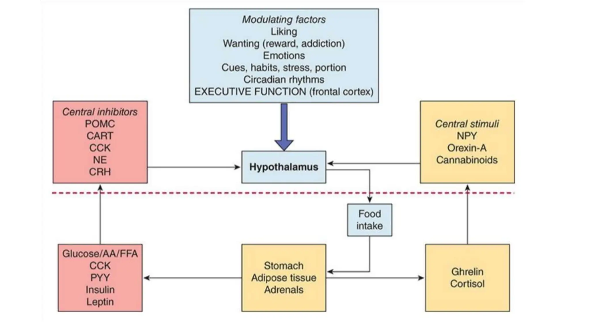 Pediatric obesity and its related complications.pptx