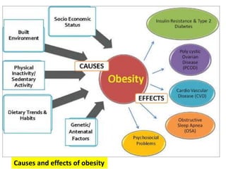 Causes and effects of obesity
 