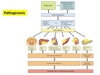 Pathogenesis
 