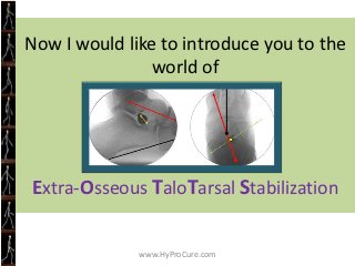 TaloTarsal Dislocation

• The dynamic displacement of the talus (ankle
  bone) off the tarsal mechanism (hindfoot bones)
•...